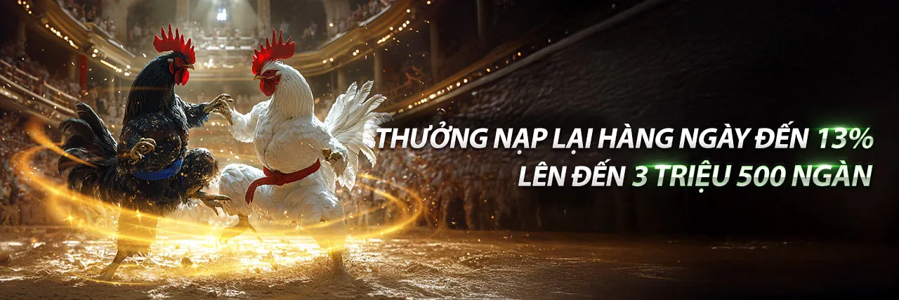 Đá gà trực tuyến 818win